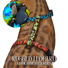 Load image into Gallery viewer, Leash and Harness Set
