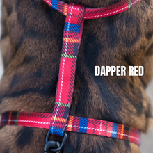 Load image into Gallery viewer, Leash and Harness Set