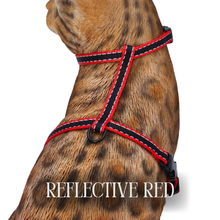 Load image into Gallery viewer, Reflective Harness Collection Escape Proof