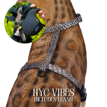 Load image into Gallery viewer, Leash and Harness Set