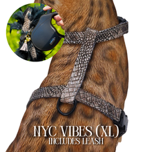 Load image into Gallery viewer, XL Harness & Leash Set