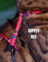 Load image into Gallery viewer, Black Dipped in Gold Leash and Harness Set