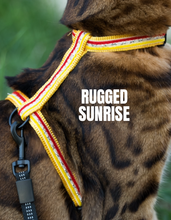 Load image into Gallery viewer, All Harnesses & Collections