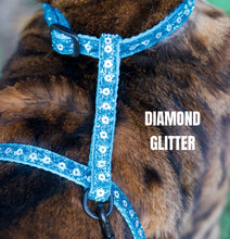 Load image into Gallery viewer, All Harnesses & Collections