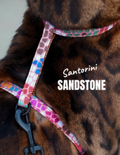 Load image into Gallery viewer, All Harnesses & Collections