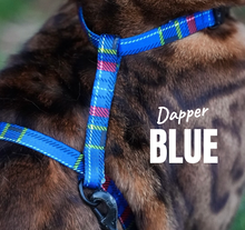 Load image into Gallery viewer, Black Dipped in Gold Leash and Harness Set