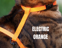 Load image into Gallery viewer, Escape Proof Harness