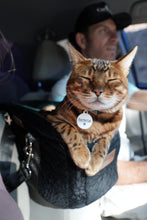 Load image into Gallery viewer, The Road Tripper - Car Trainer Car bed for the center console