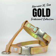 Load image into Gallery viewer, Iridescent Collection- sold separately Hands Free Leash, Escape Proof Harness & collars