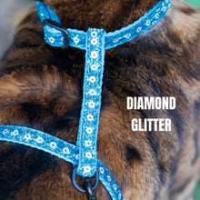 Load image into Gallery viewer, Black Dipped in Gold Leash and Harness Set