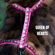 Load image into Gallery viewer, Black Dipped in Gold Leash and Harness Set