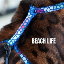 Load image into Gallery viewer, Black Dipped in Gold Leash and Harness Set