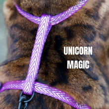 Load image into Gallery viewer, Black Dipped in Gold Leash and Harness Set