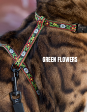 Load image into Gallery viewer, Black Dipped in Gold Leash and Harness Set