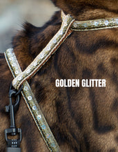 Load image into Gallery viewer, White Dipped in Gold Leash Trainer & Golden Glitter Harness Set
