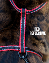 Load image into Gallery viewer, Reflective Harness Collection Escape Proof
