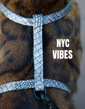 Load image into Gallery viewer, All Harnesses & Collections