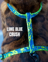 Load image into Gallery viewer, All Harnesses & Collections