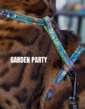 Load image into Gallery viewer, All Harnesses & Collections