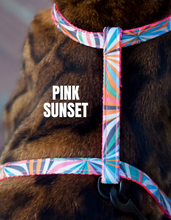 Load image into Gallery viewer, All Harnesses & Collections