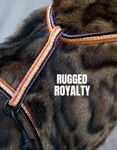 Load image into Gallery viewer, All Harnesses & Collections