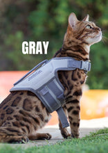 Load image into Gallery viewer, SurferCat Life Jackets
