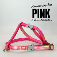 Load image into Gallery viewer, Iridescent Collection- sold separately Hands Free Leash, Escape Proof Harness & collars