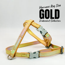 Load image into Gallery viewer, Iridescent Collection- sold separately Hands Free Leash, Escape Proof Harness & collars
