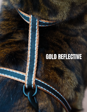 Load image into Gallery viewer, Reflective Harness Collection Escape Proof