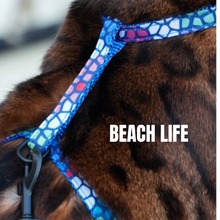 Load image into Gallery viewer, All Harnesses & Collections