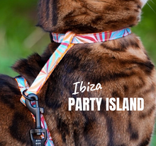 Load image into Gallery viewer, All Harnesses & Collections