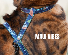 Load image into Gallery viewer, All Harnesses & Collections