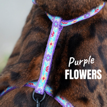 Load image into Gallery viewer, All Harnesses & Collections