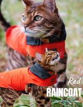 Load image into Gallery viewer, Cat Jacket Hideaway Hoodie Coat