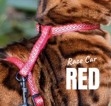 Load image into Gallery viewer, All Harnesses & Collections