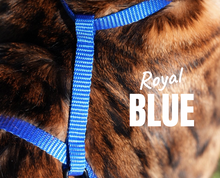 Load image into Gallery viewer, Escape Proof Harness