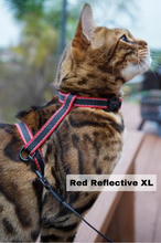 Load image into Gallery viewer, Leash and XL Harness Set