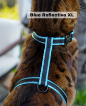 Load image into Gallery viewer, Leash and XL Harness Set