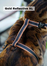 Load image into Gallery viewer, Leash and XL Harness Set