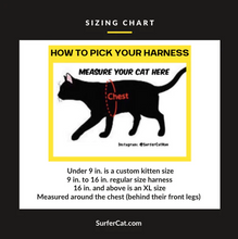 Load image into Gallery viewer, Leash and XL Harness Set