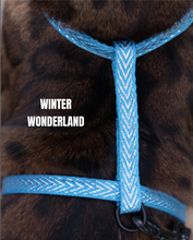 Load image into Gallery viewer, All Harnesses & Collections