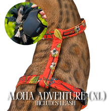 Load image into Gallery viewer, XL Harness & Leash Set