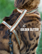Load image into Gallery viewer, Leash and XL Harness Set