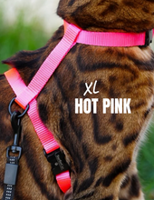 Load image into Gallery viewer, Leash and XL Harness Set