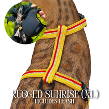 Load image into Gallery viewer, XL Harness & Leash Set