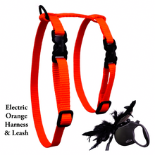 Load image into Gallery viewer, Leash and Harness Set