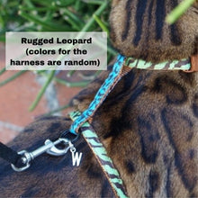 Load image into Gallery viewer, Black Dipped in Gold Leash and Harness Set