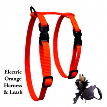 Load image into Gallery viewer, Black Dipped in Gold Leash and Harness Set