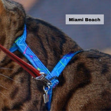 Load image into Gallery viewer, Black Dipped in Gold Leash and Harness Set