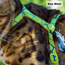 Load image into Gallery viewer, Black Dipped in Gold Leash and Harness Set